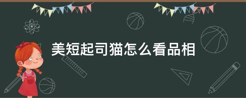 美短起司猫怎么看品相（美短起司猫怎么看纯不纯）