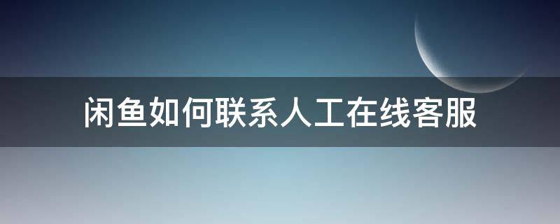 闲鱼如何联系人工在线客服（闲鱼怎么直接联系人工客服）