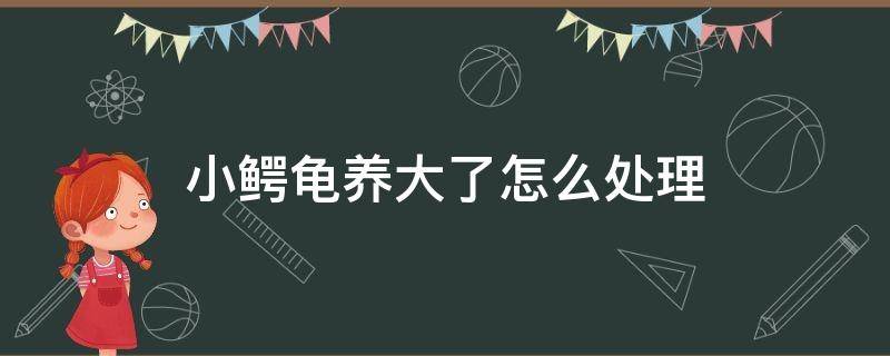 小鳄龟养大了怎么处理（小鳄龟长大了都是怎么处理的）