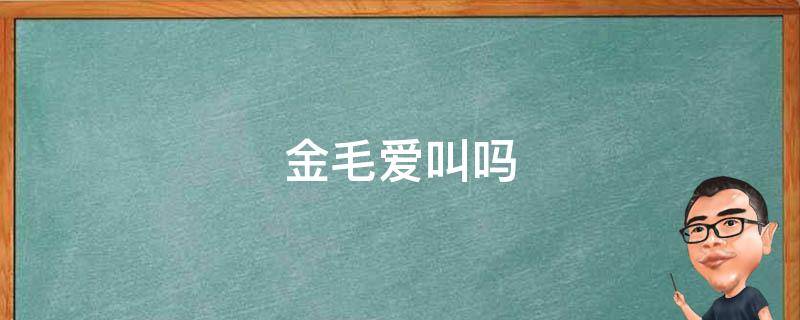 金毛爱叫吗 金毛爱叫吗 简单一招教你让金毛犬不乱叫