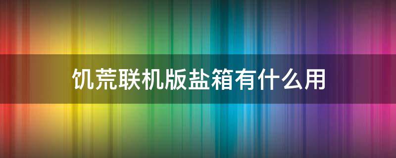 饥荒联机版盐箱有什么用 饥荒盐箱怎么用