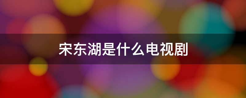 宋东湖是什么电视剧（宋晓东什么电视剧）