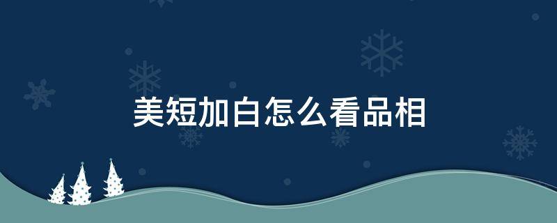 美短加白怎么看品相（美短加白怎么看品相带黄）