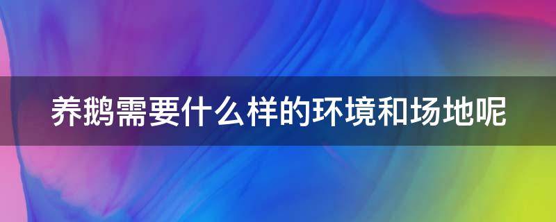 养鹅需要什么样的环境和场地呢（养鹅都需要什么设备和条件）