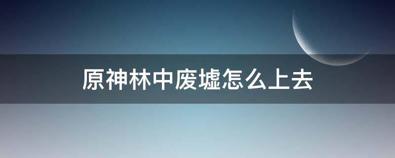 原神林中废墟怎么上去（原神林中废墟爬不上去）