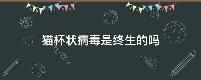 猫杯状病毒是终生的吗（猫杯状病毒是终生携带吗）