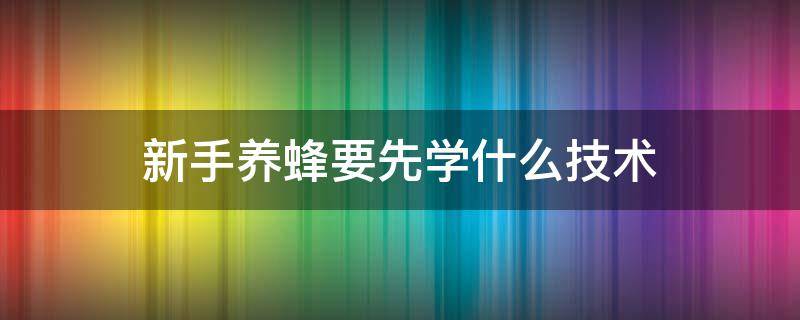 新手养蜂要先学什么技术 新手养蜂要掌握哪些技术?