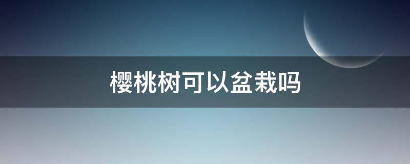 樱桃树可以盆栽吗（樱桃树可以种吗）