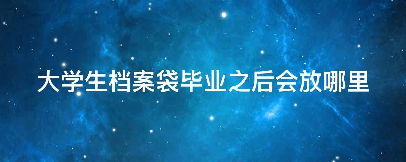 大学生档案袋毕业之后会放哪里（大学生档案袋毕业之后会放哪里怎么查）