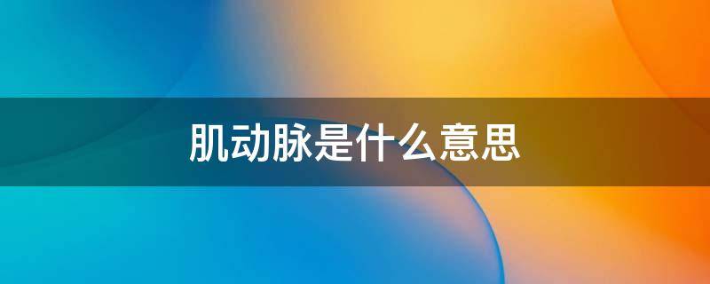 肌动脉是什么意思 股动脉是肌性动脉吗