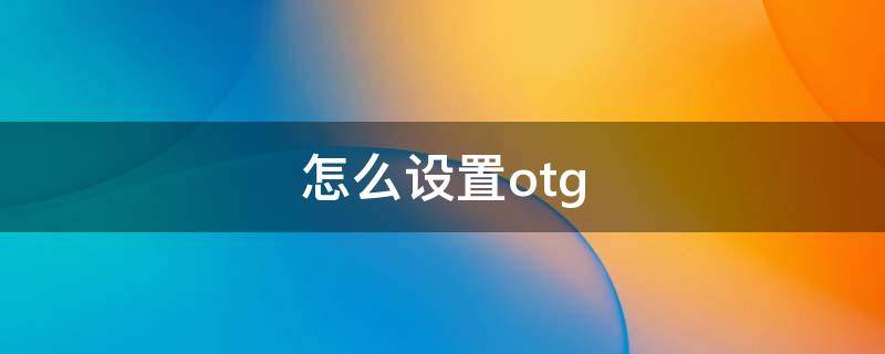 怎么设置otg（怎么设置otc在哪）