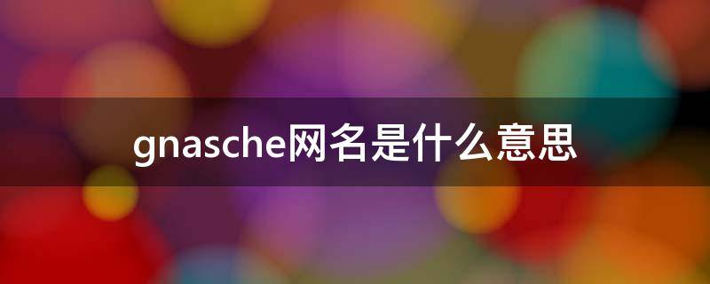 gnasche网名是什么意思 gnasche情侣网名是哪个