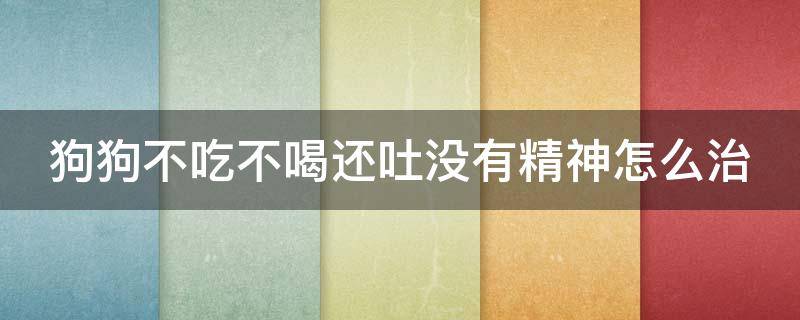 狗狗不吃不喝还吐没有精神怎么治（狗不吃食呕吐没精神是什么情况）