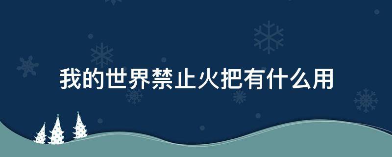 我的世界禁止火把有什么用（我的世界怎么禁止火焰）