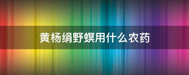 黄杨绢野螟用什么农药 小叶黄杨绢野螟的发生与防治