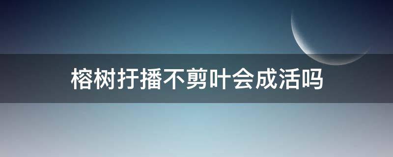 榕树扜播不剪叶会成活吗 榕树修剪到没有叶子能活吗