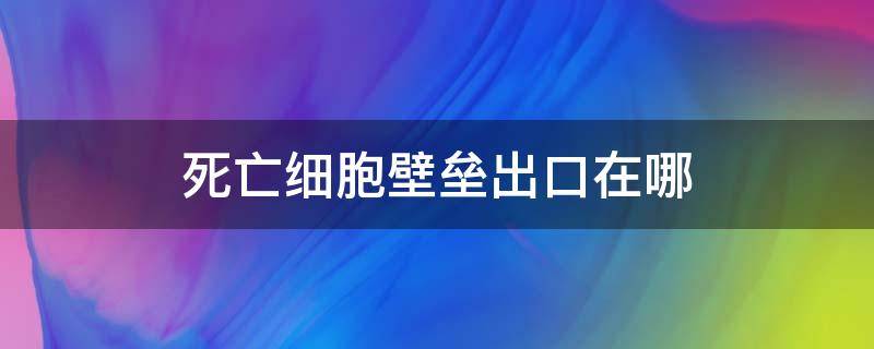 死亡细胞壁垒出口在哪 死亡细胞壁垒有个区域下不去