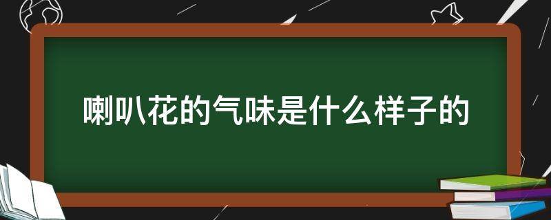 喇叭花的气味是什么样子的 喇叭花的气味是什么?