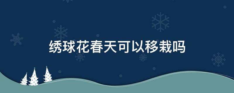 绣球花春天可以移栽吗（绣球花在开花期可以移植吗）