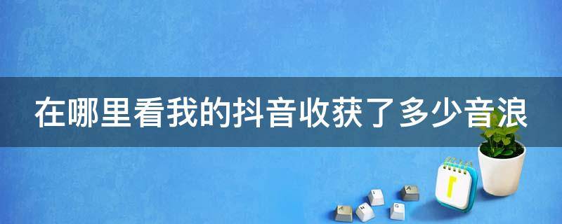 在哪里看我的抖音收获了多少音浪 抖音怎么看收了多少音浪