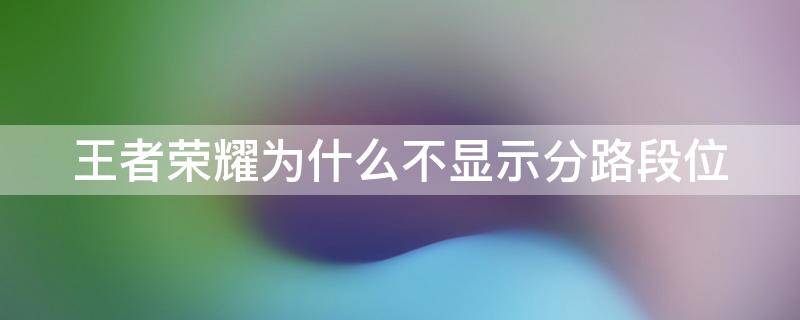 王者荣耀为什么不显示分路段位（王者荣耀为什么不显示分路段位图标）