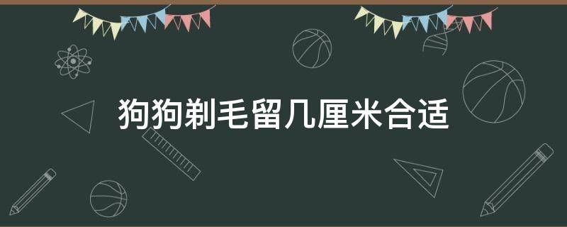 狗狗剃毛留几厘米合适 狗毛剃多长合适