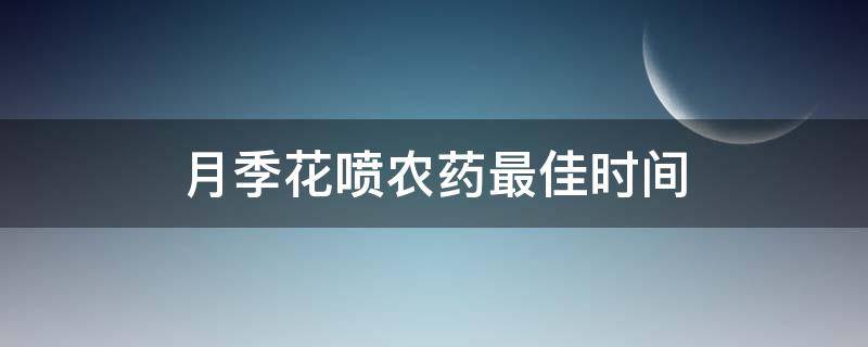 月季花喷农药最佳时间（月季什么时候喷洒农药）