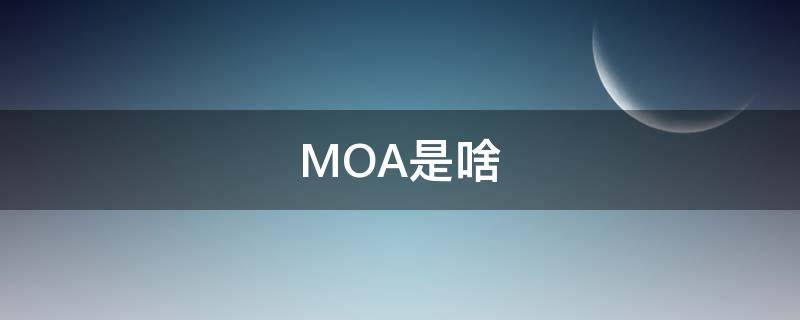 MOA是啥（moa是啥么系统）