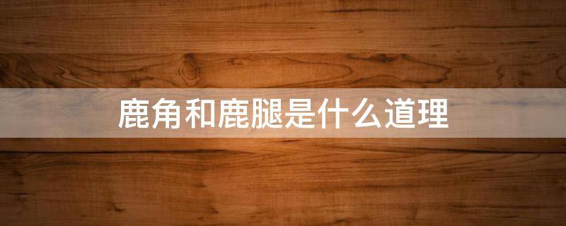 鹿角和鹿腿是什么道理 鹿角和鹿腿是什么道理三年级少