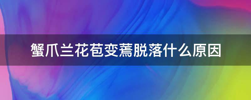 蟹爪兰花苞变蔫脱落什么原因 蟹爪兰花苞蔫了原因