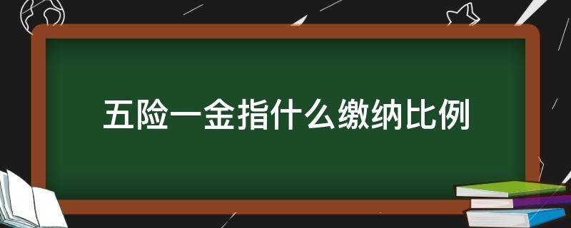 五险一金指什么缴纳比例 五险一金缴纳比例什么意思