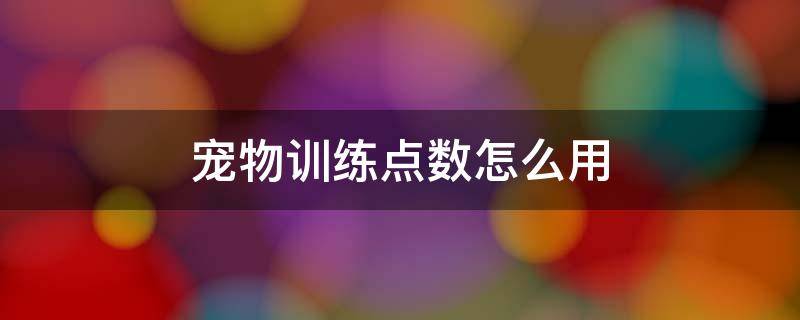 宠物训练点数怎么用（宠物训练点数怎么使用）