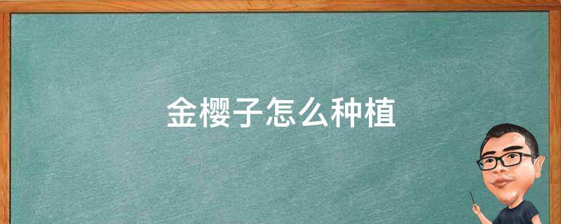 金樱子怎么种植 金樱子养殖方法