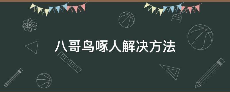 八哥鸟啄人解决方法 八哥鸟会啄人眼睛吗