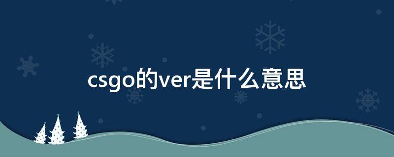 csgo的ver是什么意思 csgo的ver一千多