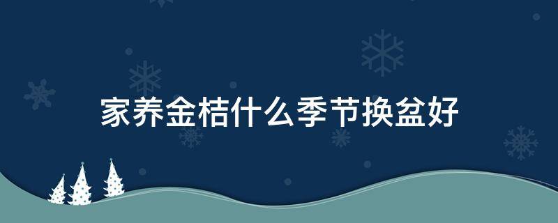 家养金桔什么季节换盆好（金桔盆栽几月换盆好）