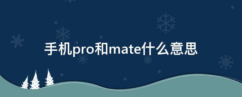 手机pro和mate什么意思（华为mate pro和mate pro+的区别）