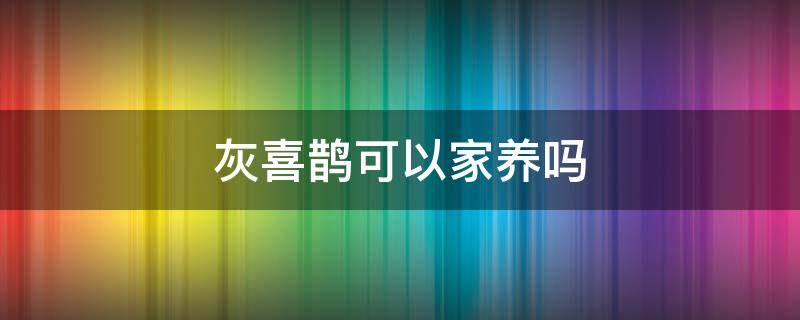 灰喜鹊可以家养吗 灰喜鹊养一只犯法吗