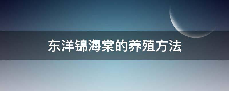 东洋锦海棠的养殖方法（洋海棠怎么养）