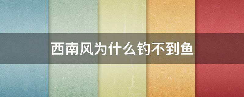 西南风为什么钓不到鱼（为啥西风钓不到鱼）