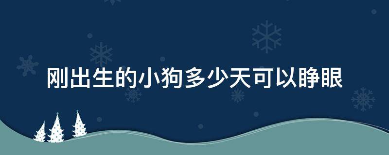 刚出生的小狗多少天可以睁眼（刚出生的小狗多少天才能睁眼睛）