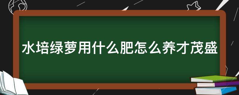 水培绿萝用什么肥怎么养才茂盛（水培绿萝用什么肥更旺盛）