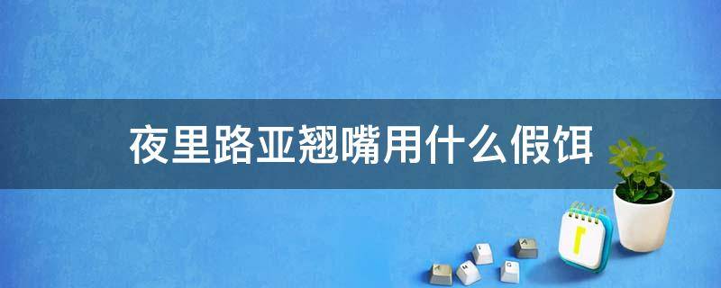 夜里路亚翘嘴用什么假饵（夜里路亚翘嘴最佳假饵）