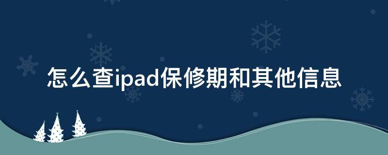 怎么查ipad保修期和其他信息 怎么查iPad的保修期