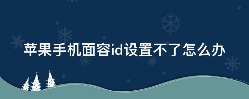 苹果手机面容id设置不了怎么办（苹果手机面容id设置不了怎么办呢）