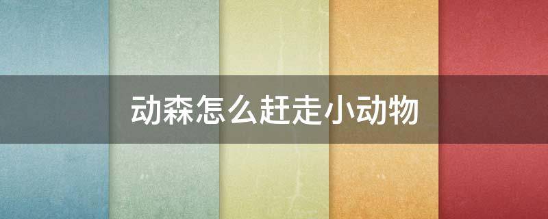 动森怎么赶走小动物（动森怎么赶走小动物捕虫网）