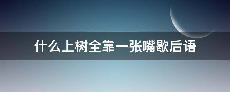 什么上树全靠一张嘴歇后语（什么上树全靠一张嘴）