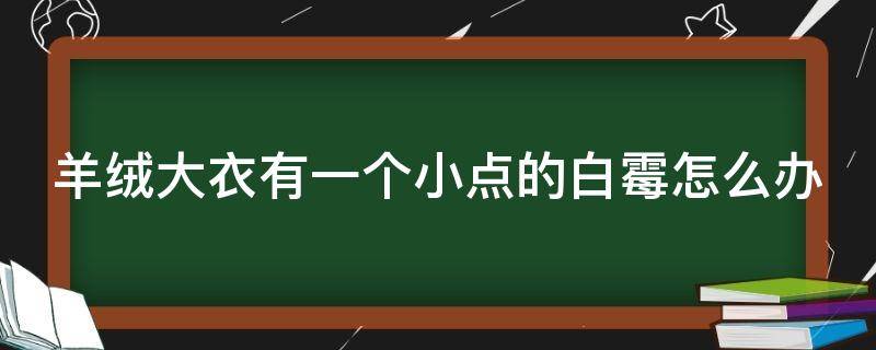 羊绒大衣有一个小点的白霉怎么办（羊绒大衣有白色霉点怎去掉）