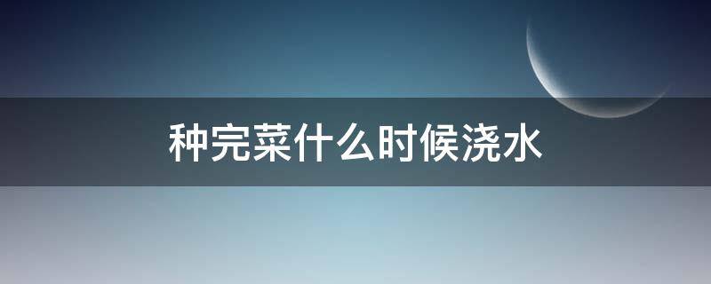 种完菜什么时候浇水（刚种的蔬菜什么时候浇水）