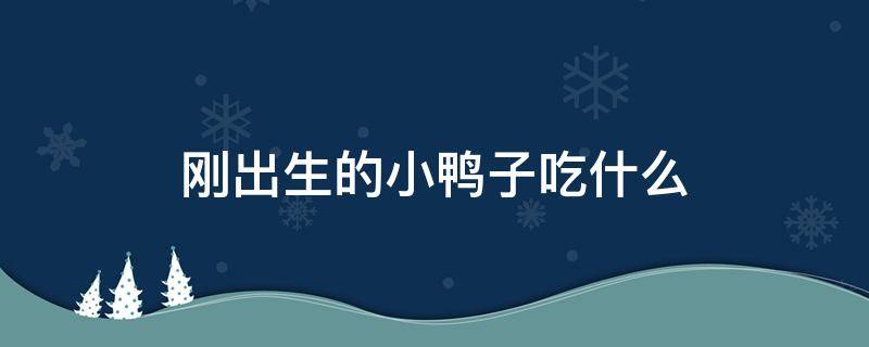刚出生的小鸭子吃什么 刚出生的小鸭子吃什么食物最好